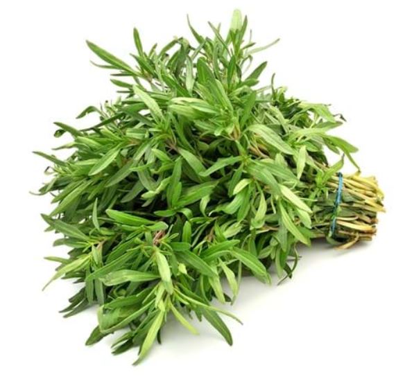 مرزه خشک (بسته بندی 120 گرمی)